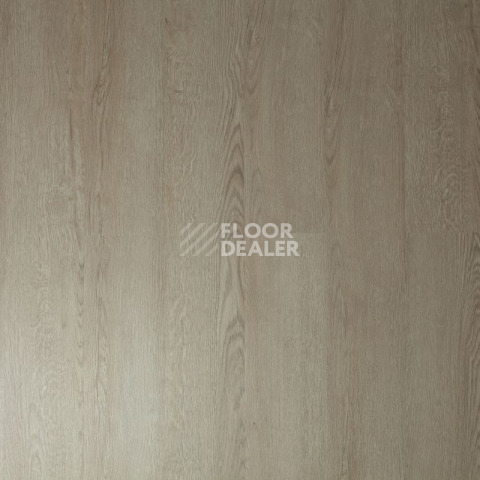 Tarkett Funky House Ricon фото 9 | FLOORDEALER